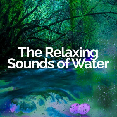 歌手 The Relaxing Sounds of WaterSleeping Music ExperienceYoga Rain