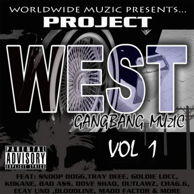 Project West 歌手