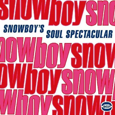 歌手 Snowboy