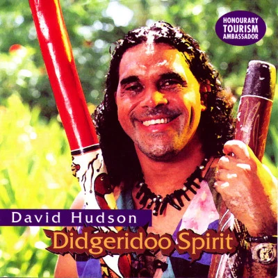 歌手 David Hudson