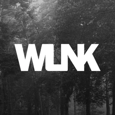 WLNK 歌手