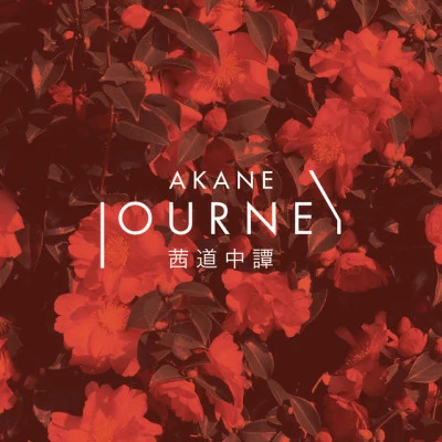 歌手 AKANE菅野祐悟