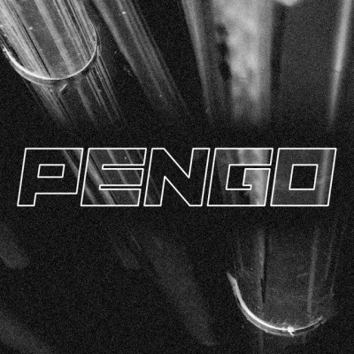 Pengo 歌手