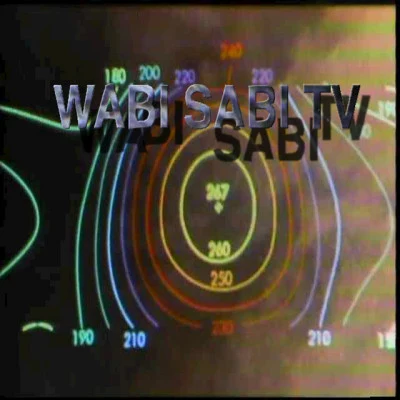 Wabi Sabi 歌手