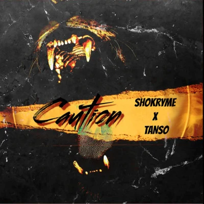 Tanso/みゑふぃーゆ/Quintino & Blasterjaxx Symphony of Scarlet