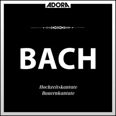 Rudolf Ewerhart/Ursula Buckel/Württembergisches Kammerorchester/Claus Ocker Bach: Hochzeitskantate No. 202, Bauernkantate No. 212