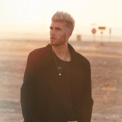 歌手 Colton Dixon