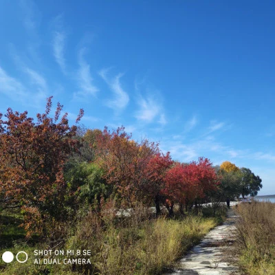 无音乐不人生/绘师岸田 Above the sky