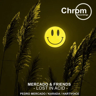 Hartvoice/Pedro Mercado/Karada Mercado & Friends: Lost in Acid