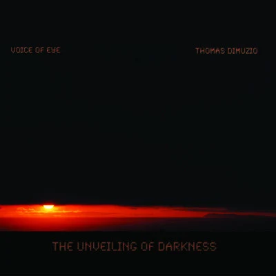 歌手 Thomas DimuzioVoice Of Eye