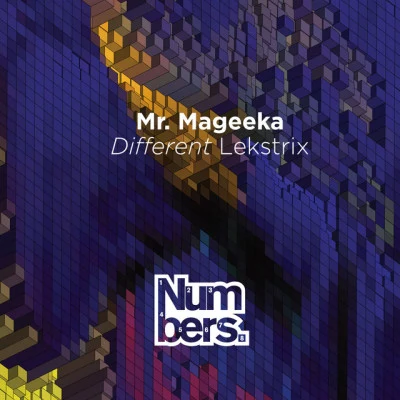 歌手 Mr Mageeka