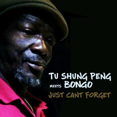 歌手 BongoTu Shung Peng