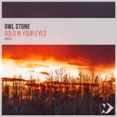 歌手 Owl Stone