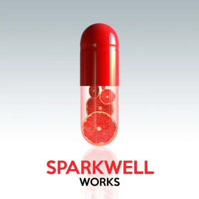 歌手 Sparkwell