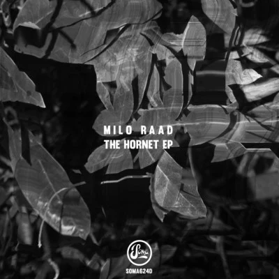 歌手 Milo Raad