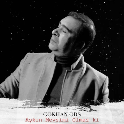 Gökhan Örs 歌手