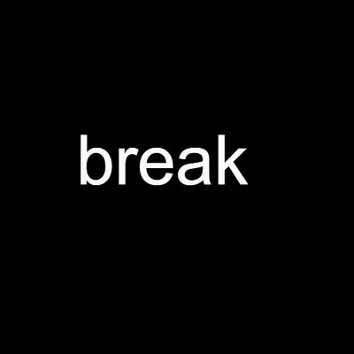 歌手 Break