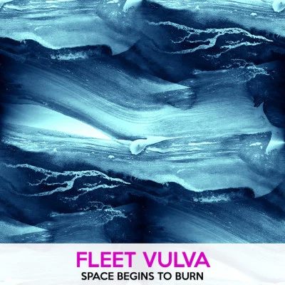 歌手 Fleet Vulva