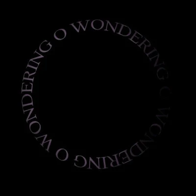 歌手 Wondering O