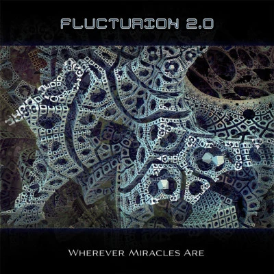 歌手 Flucturion 2.0