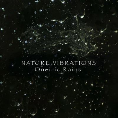 Nature Vibrations/Sounds of Nature Noise/The Nature Soundscapes Ambient Forest