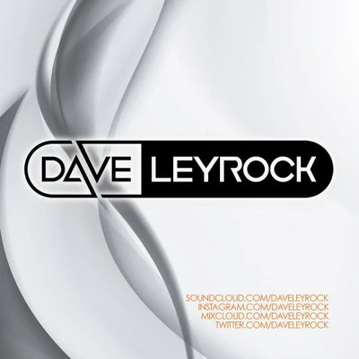 歌手 Dave Leyrock