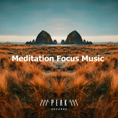 Meditation Focus 歌手