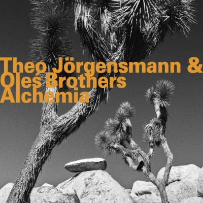 歌手 Theo JörgensmannEckard Koltermann