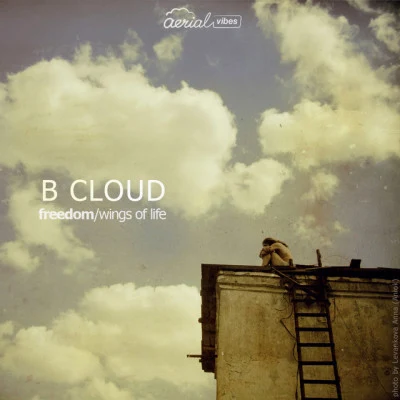 歌手 B Cloud