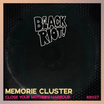 歌手 Memorie Cluster