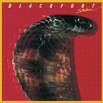 歌手 Blackfoot