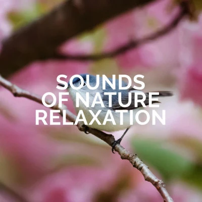 Sounds of Nature Relaxation/The Calming Sounds of Nature Relaxation under a Tree - Collection of Stunning Sounds of Nature Thanks to Which You Will Rest and Forget about Stress and Troubles