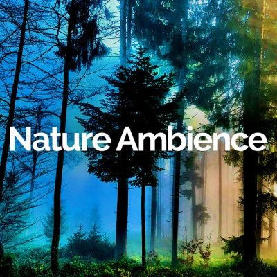 Nature Ambience Holistic Natural Sounds