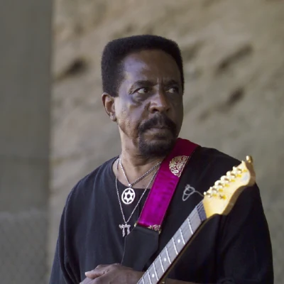 Ike Turner 歌手