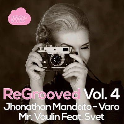 Mr. Vaulin/Svet ReGrooved, Vol. 4