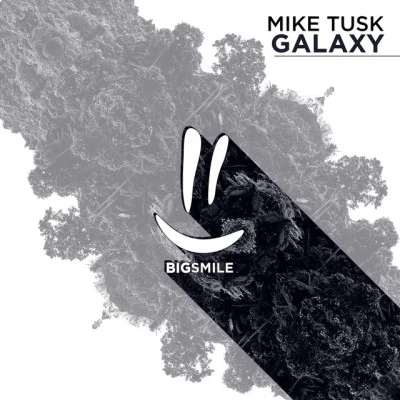 歌手 Mike Tusk