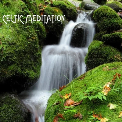 Celtic Meditation Music Specialists/Celtic Dreams/Celtic Music Voyages Celtic Harp, Vol. 1