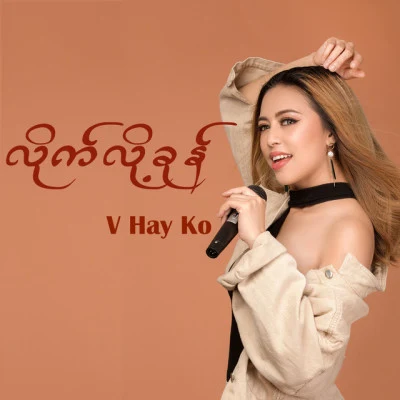 V Hay Ko 歌手