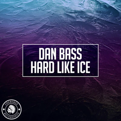 歌手 Dan Bass