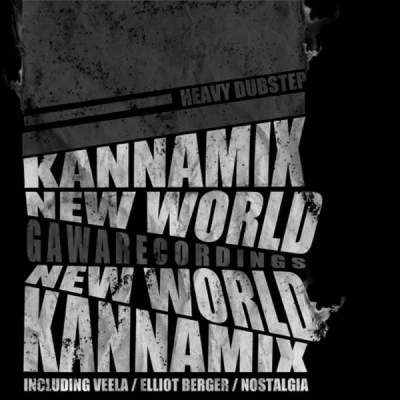 歌手 Kannamix