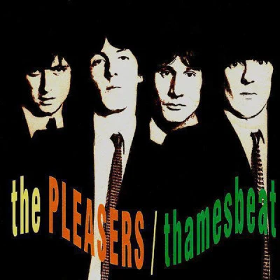 歌手 The Pleasers