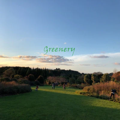 歌手 GreeneryJill Chestain