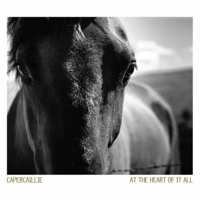 歌手 Capercaillie