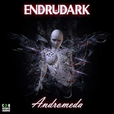 ENDRUDARK 歌手