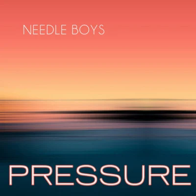 Needle Boys 歌手