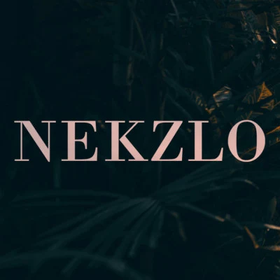 Nekzlo 歌手