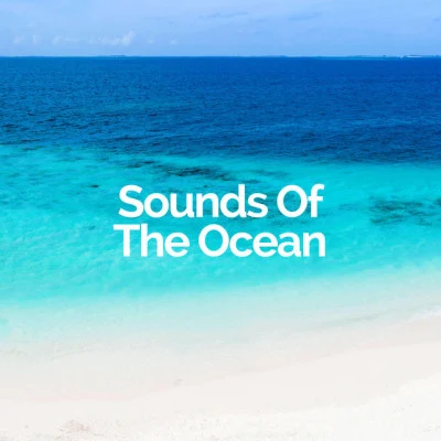 歌手 Sounds Of The OceanOcean BeatsSleeping Ocean Waves