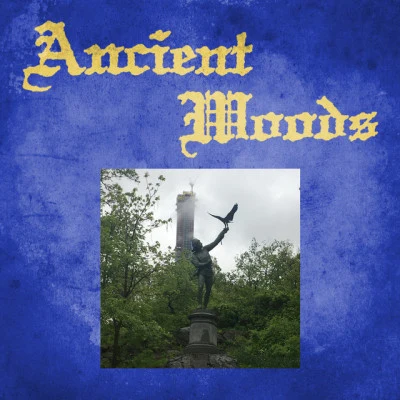 Ancient Moods/Gobby Secret Airways