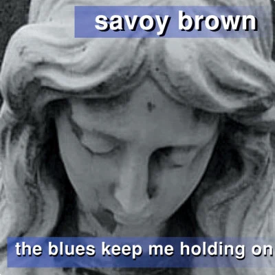 Savoy Brown Blues Band 歌手