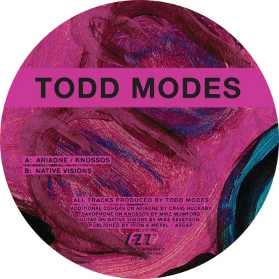 歌手 Todd Modes